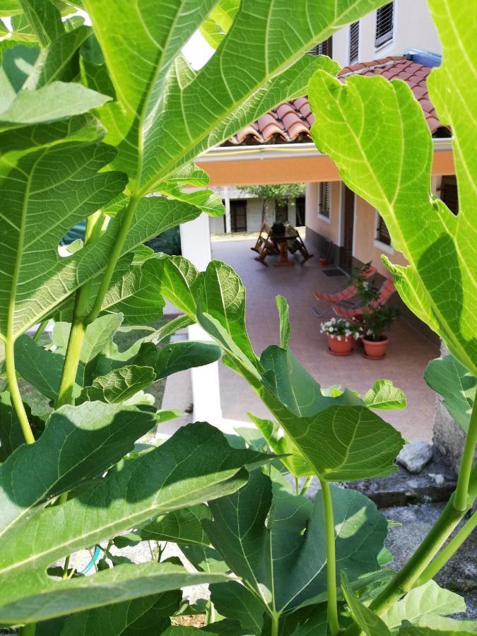 Apartman Doli Nedescina Ngoại thất bức ảnh